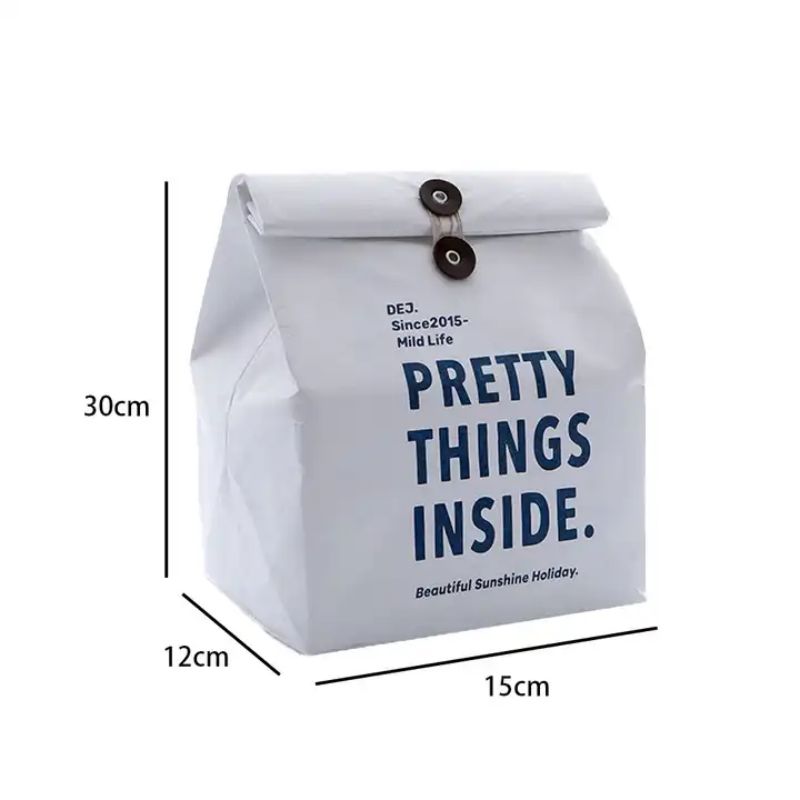 Brown Tyvek Bags