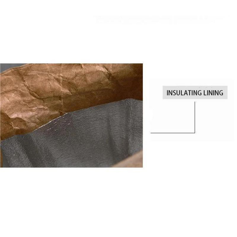 Brown Tyvek Bags